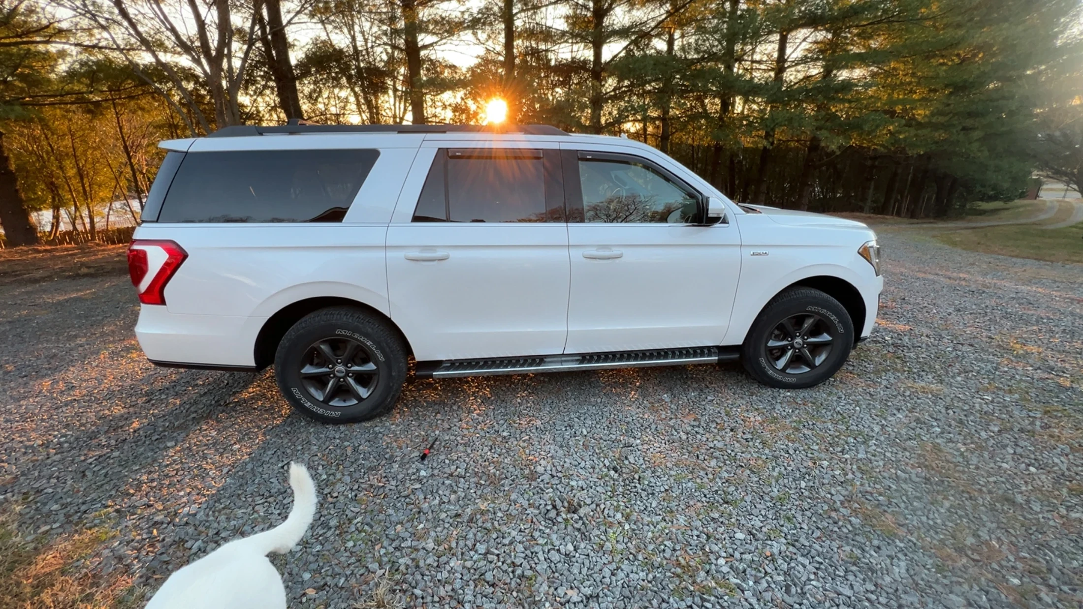 Detail VA mobile vehicle care performed on location