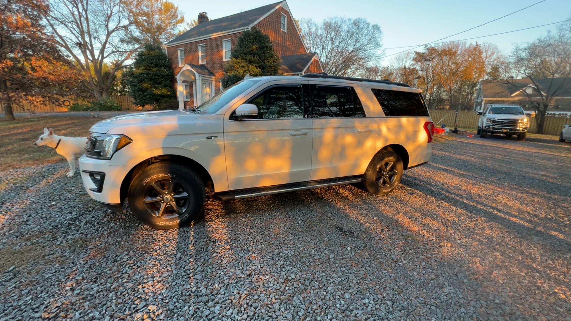 Protected vehicle paint